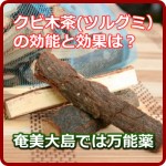 クビ木茶（ツルグミ）の効能と効果は？内と外に効く奄美大島の万能薬！